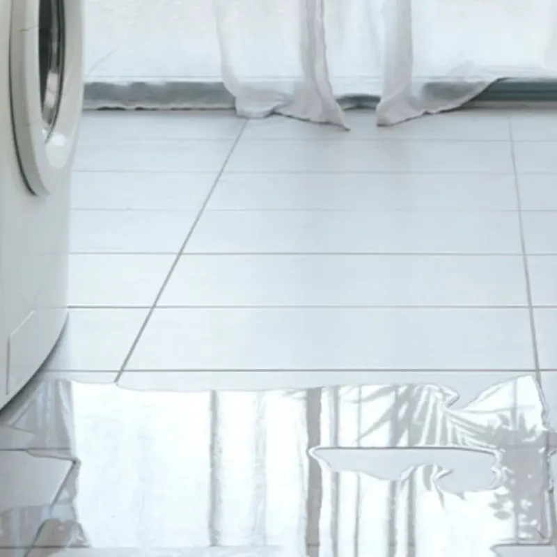 Appliance Leak Cleanup in Grayson County, KY
