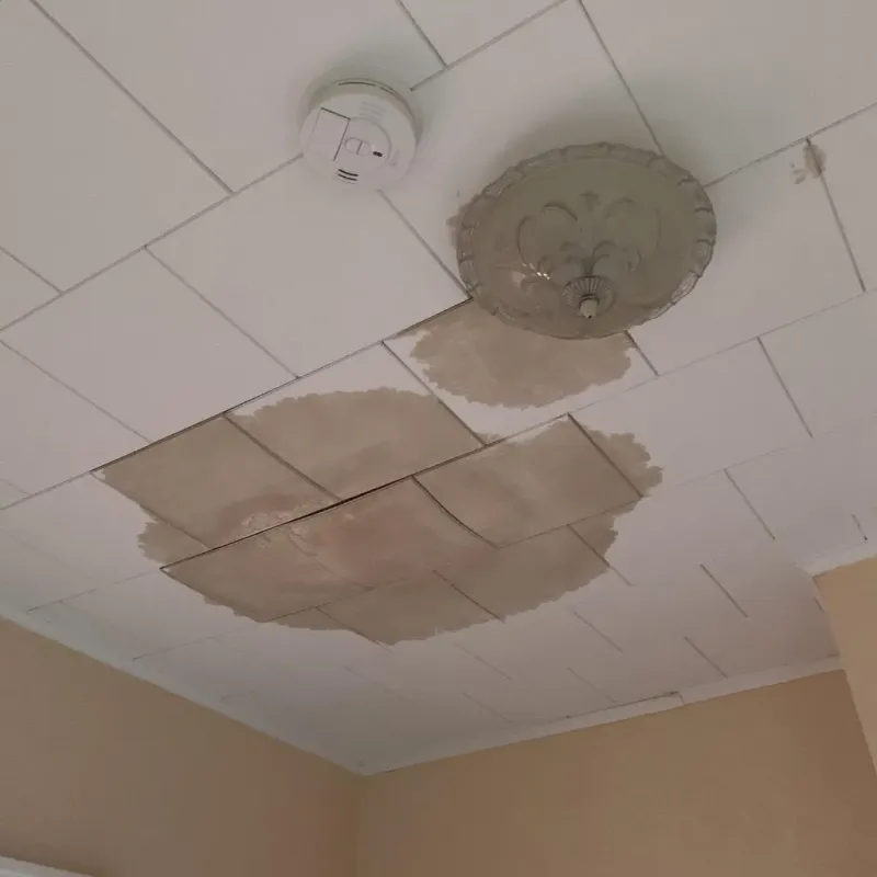 Ceiling Water Damage Repair in Grayson County, KY