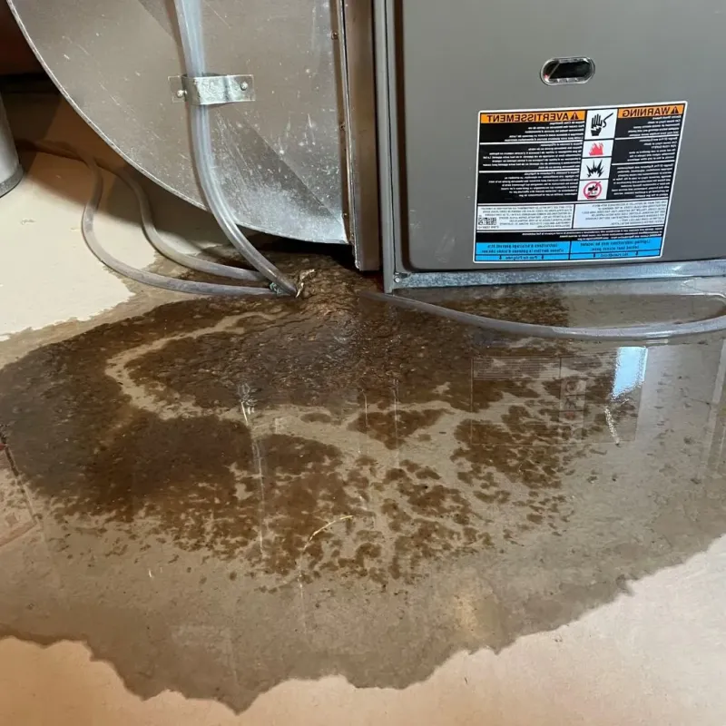 Pipe Burst and Leak Restoration in Grayson County, KY